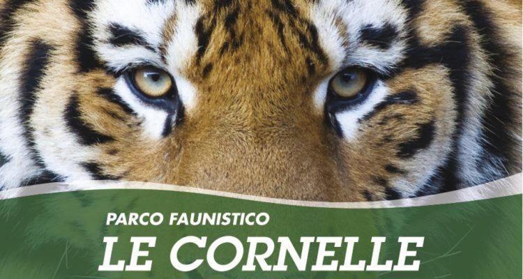 B&B I Colli Di Bergamo Alta Valbrembo Kültér fotó